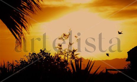 PAISAJES