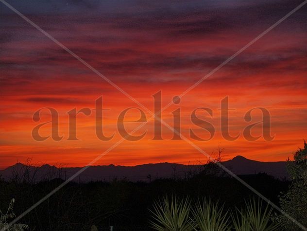 OCASO  2