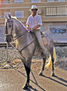 JINETE  Y  CABALLO  POSANDO