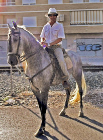 Jinete  y  caballo...