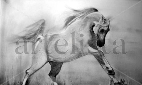 caballos