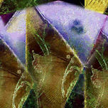 PAISAJES Y SUEÑOS thumbnail 1