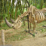 NATURALEZA : FLORA Y FAUNA thumbnail 1