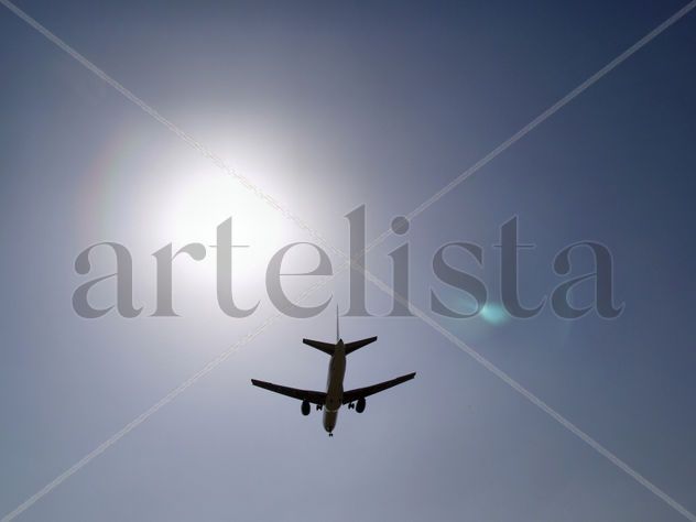 FLY  ME  TO  THE  SUN  (  FRANKIE  )