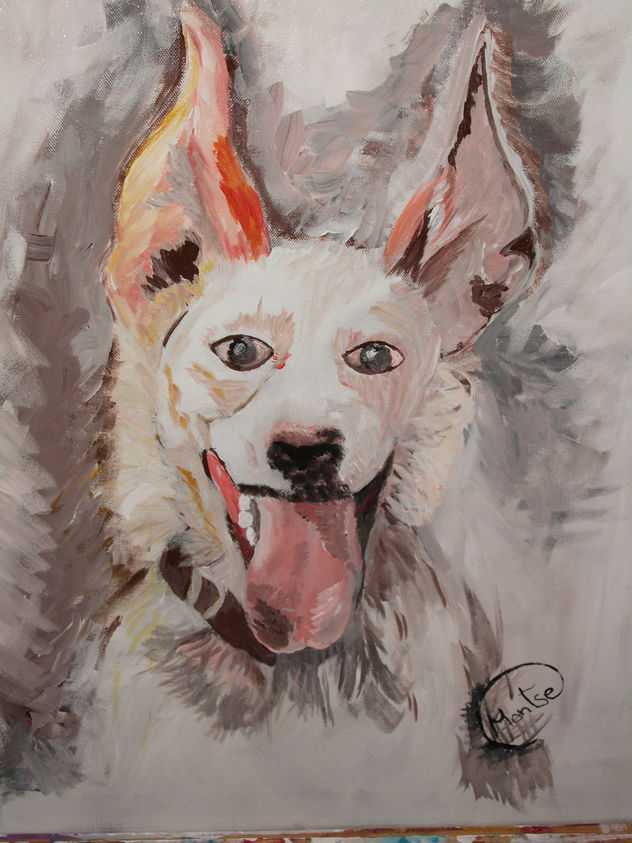 perro de caza