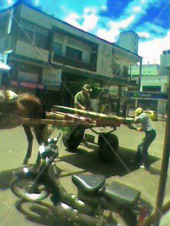 transporte ecològico