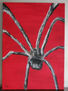 araña