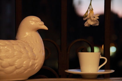 Cafe para blanca.