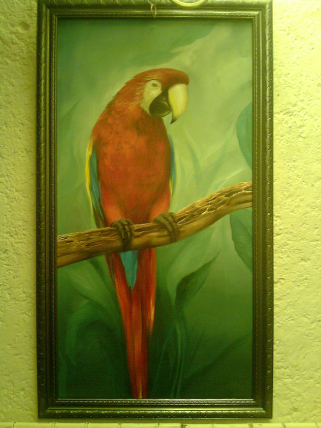 chismosa solitaria