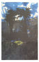 Selva II
