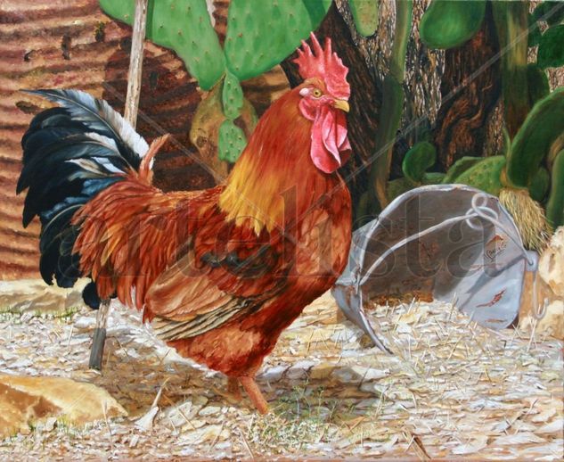 gallo 1 Oil Canvas Animals