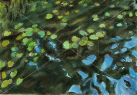 Water-lily