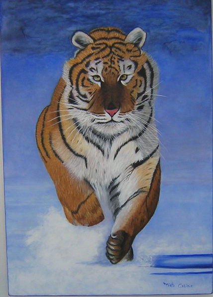 Tigre de la nieve