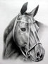 el caballo