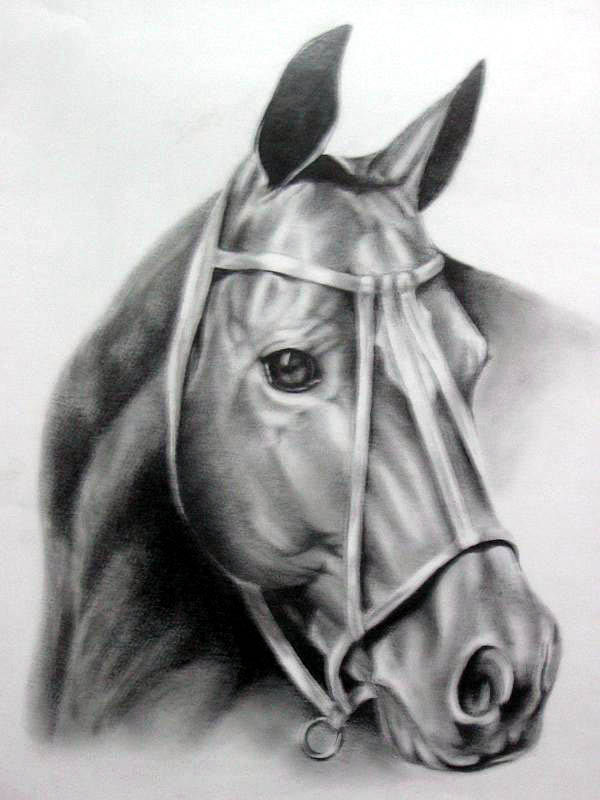 el caballo