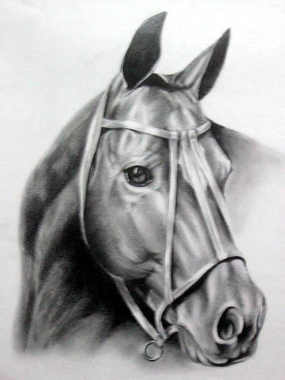 el caballo Pencil