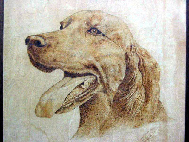 Perro pirograbado Etching Process