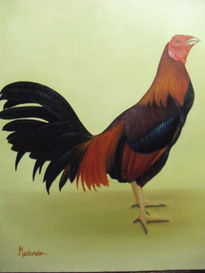 Gallo de pelea