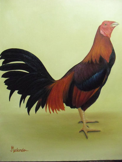 Gallo de pelea Oil Canvas Animals