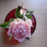 Evgeny thumbnail 2