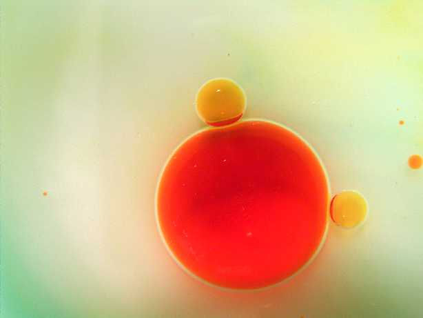 equilibrio