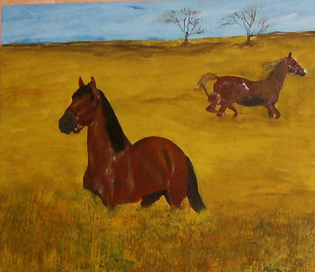 Cabalgando entre girasoles.