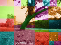 Coloritamaz