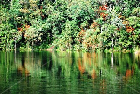Reflejos