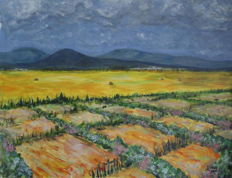 Mar de Arroz