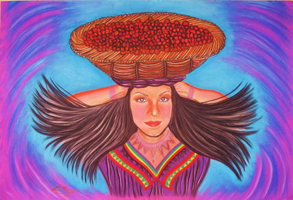 Cosecha Guaymi Ngöbe