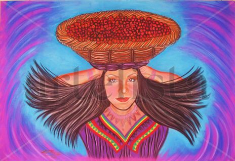 Cosecha Guaymi Ngöbe