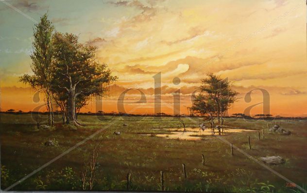 ATARDECER LLANURA