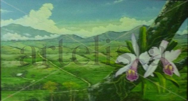 ORQUIDEAS