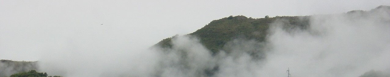 Imagen de portada
