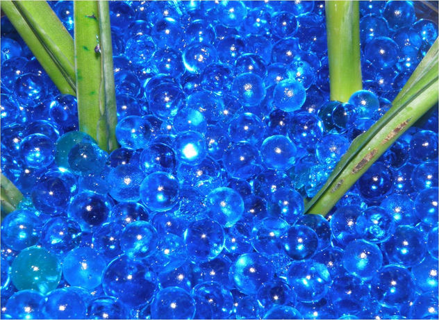 AZULY VERDE