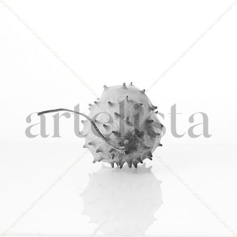Calabaza?