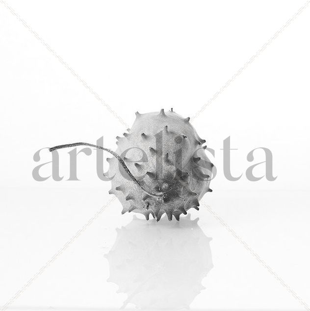 Calabaza?