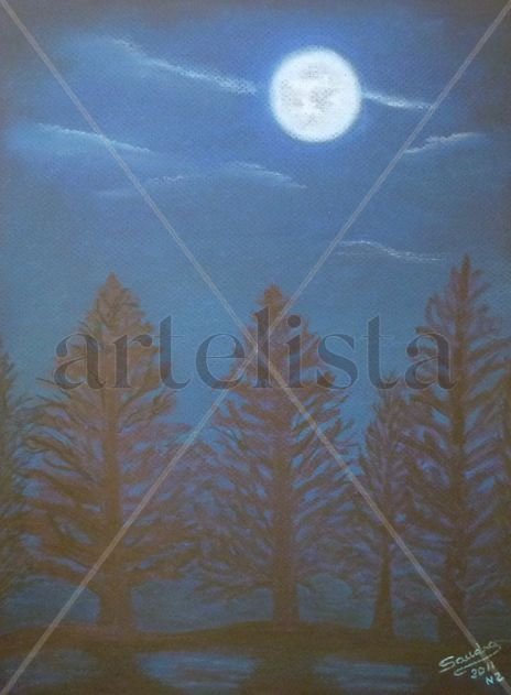 Paisaje nocturno nz-2