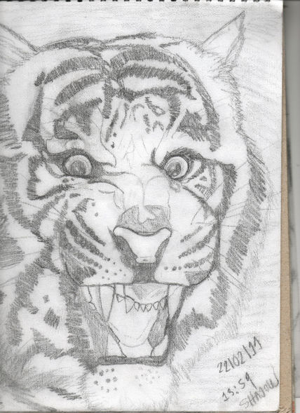 Tigre agresivo