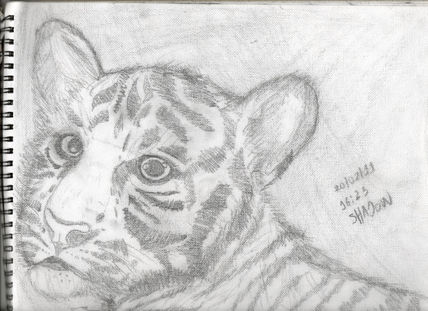 Cachorro de tigre...