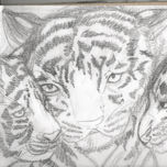 Dibujos en papel thumbnail 1