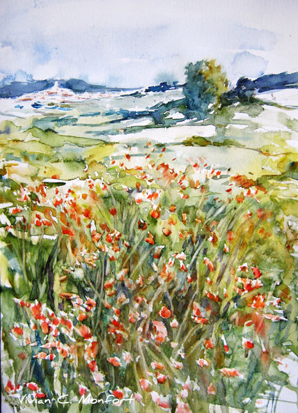 Campos de Belgida,...