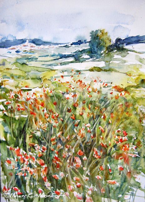 Campos de Belgida,...