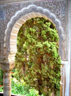 Ventana en la Alhambra 