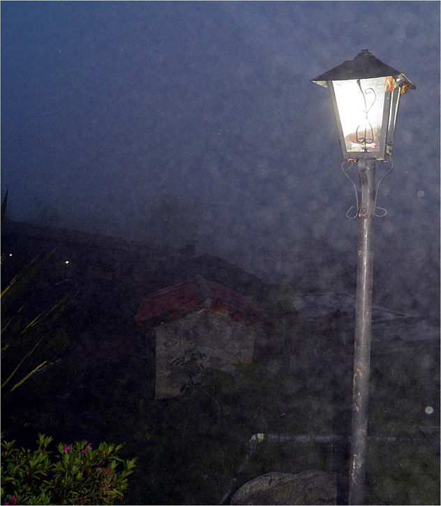 ELFAROL TE GUIA