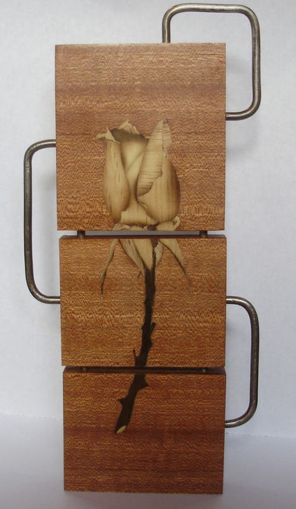 Una rosa para Ester