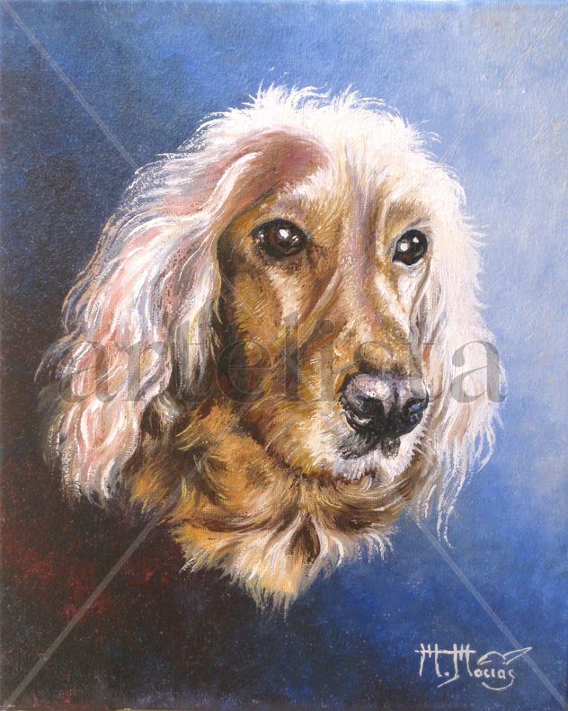 Cocker