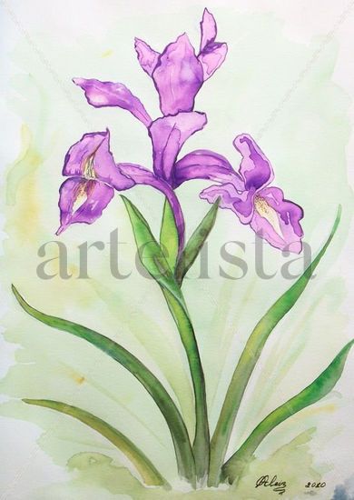 ORQUIDEA Watercolour Canvas Floral Painting