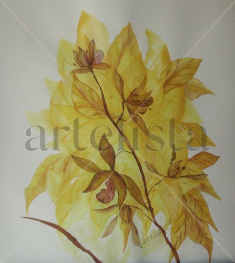 Orquidea