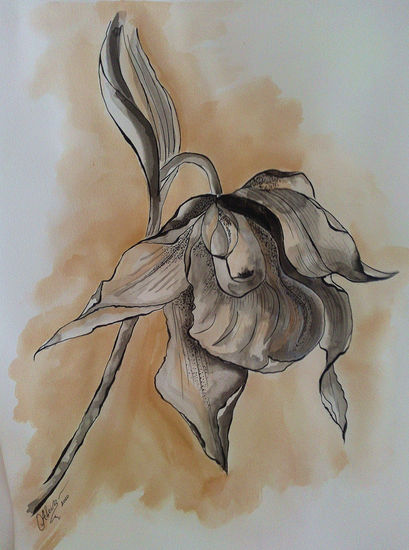 ORQUIDEA Ink Paper Floral Painting